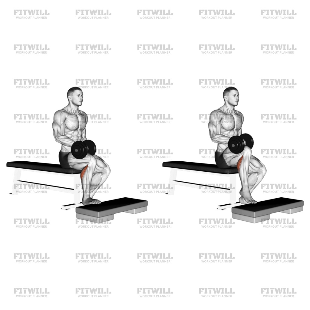 One leg dumbbell calf raise hotsell