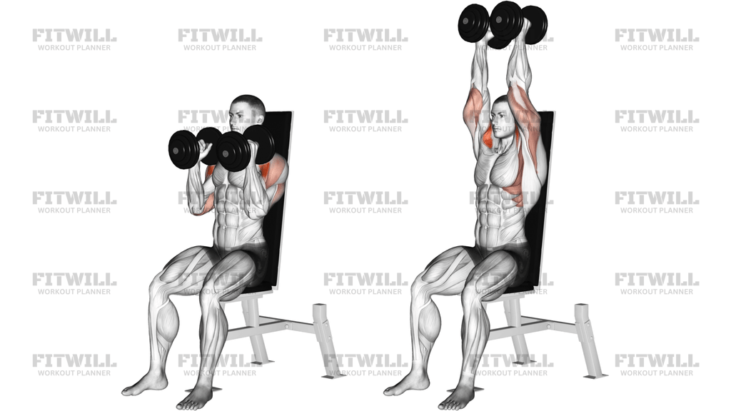 Dumbbell Seated Shoulder Press Parallel Grip