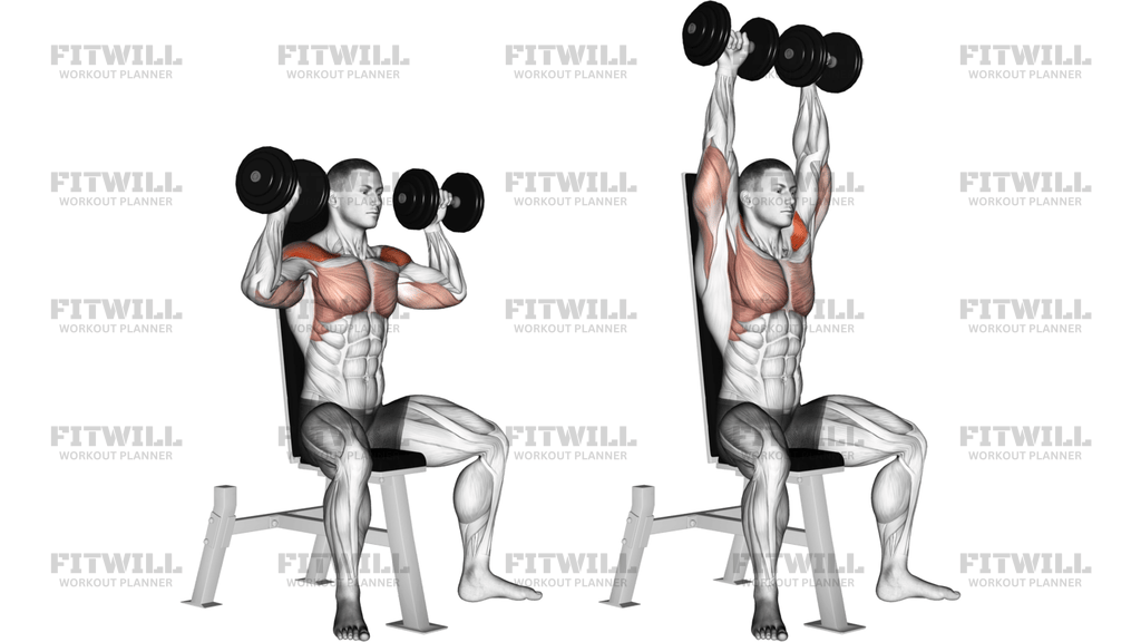 Dumbbell Seated Shoulder Press