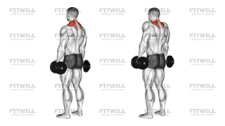 Dumbbell Shrug