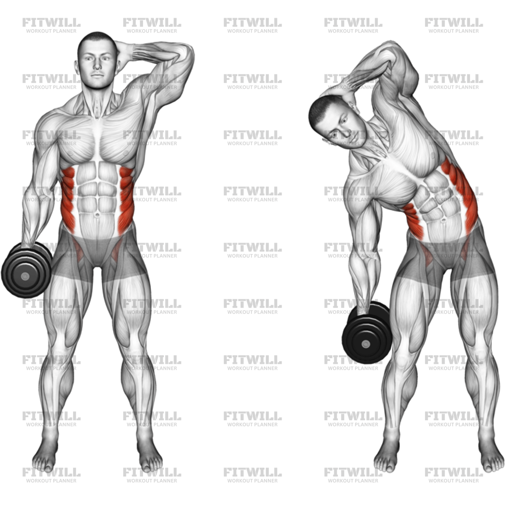 Dumbbell Side Bend: Exercise Guide, Video, Techniques, Benefits, How to ...