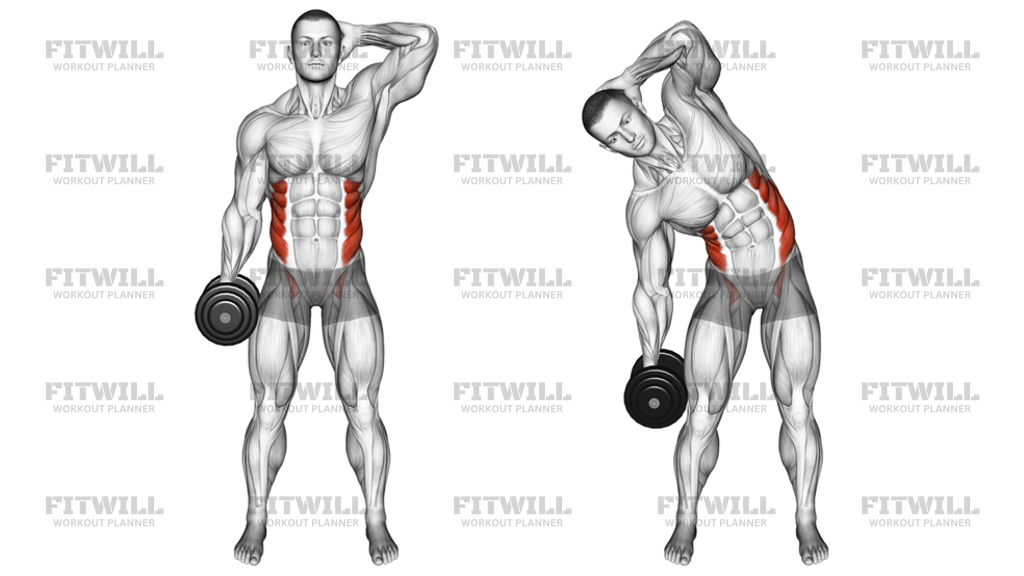 Dumbbell Side Bend