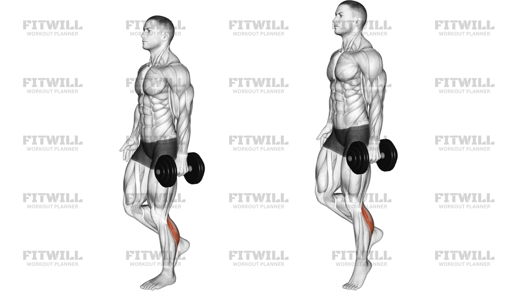Dumbbell Single Leg Calf Raise L