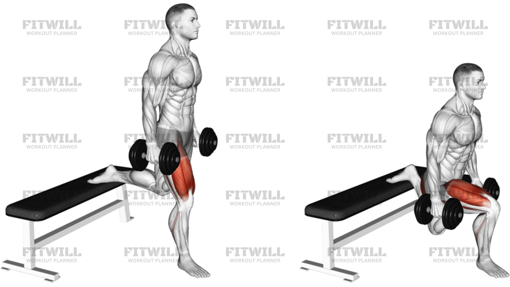Dumbbell Single Leg Split Squat