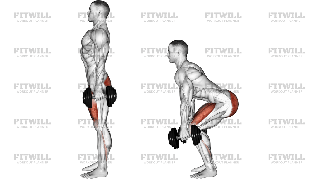 Dumbbell Squat