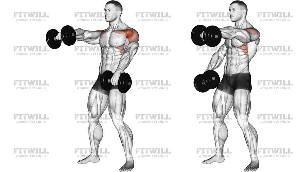 Dumbbell Standing Alternate Raise