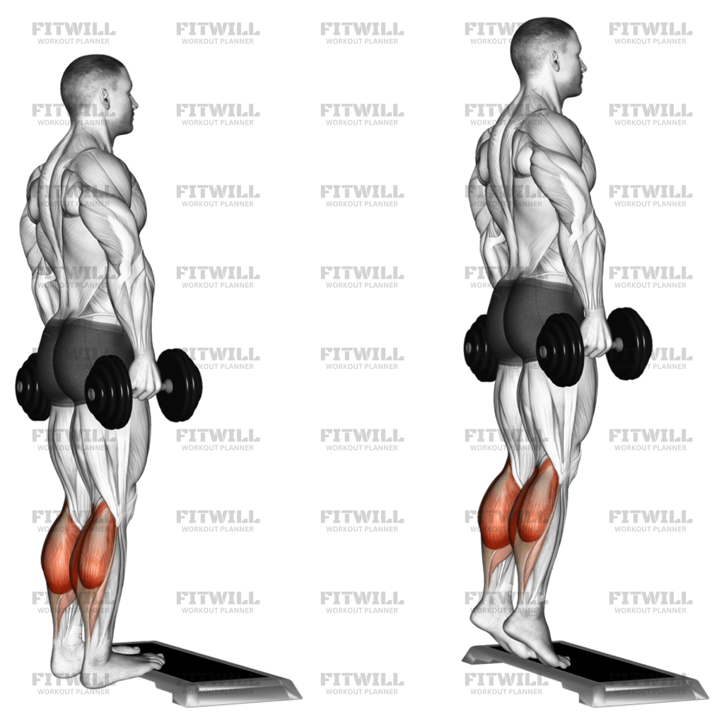 Dumbbell calf workouts sale