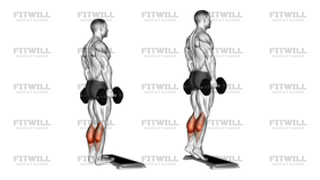 Dumbbell Standing Calf Raise
