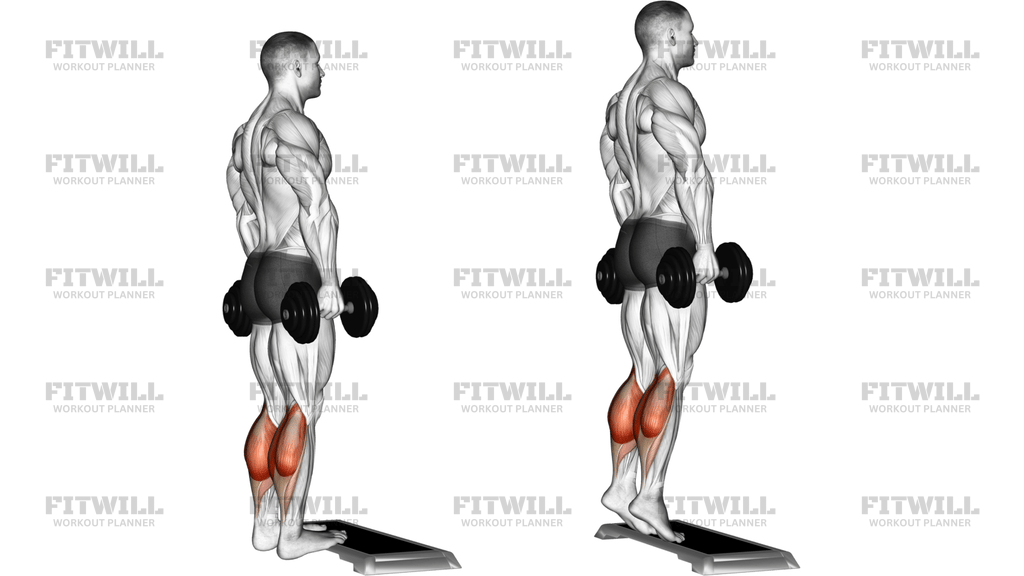Dumbbell Standing Calf Raise