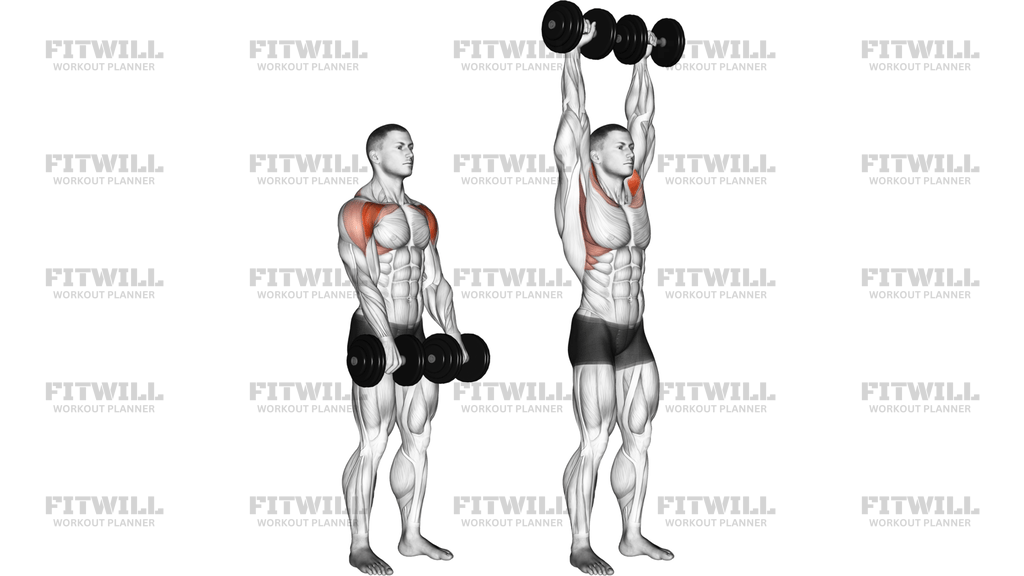 Dumbbell Standing Front Raise Above Head