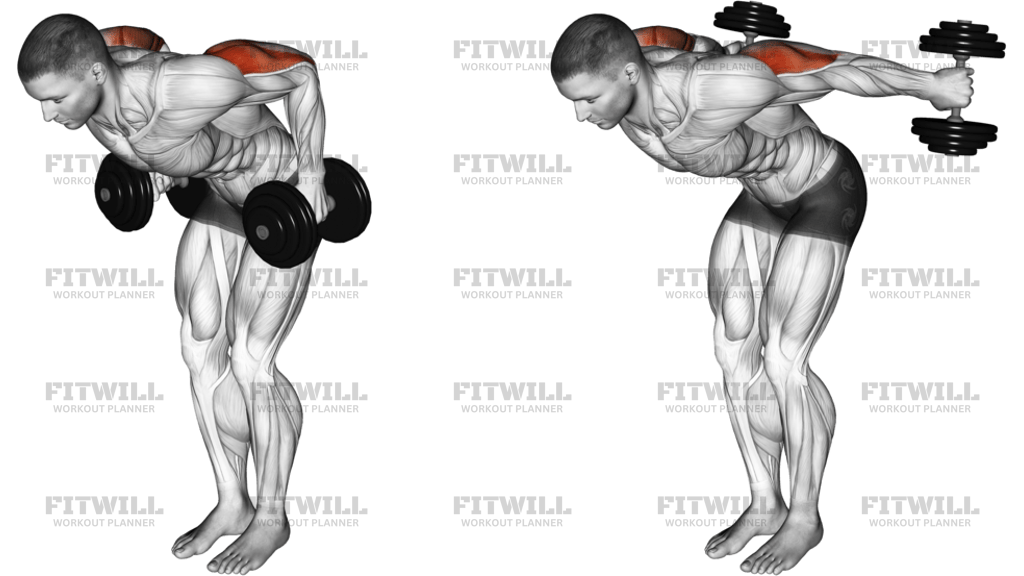 Dumbbell Standing Kickback