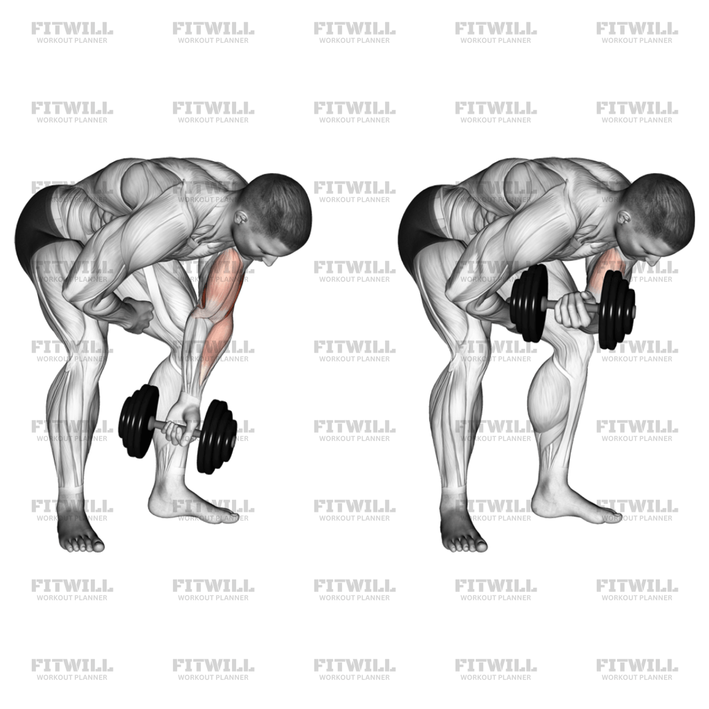 Standing concentration curl clearance