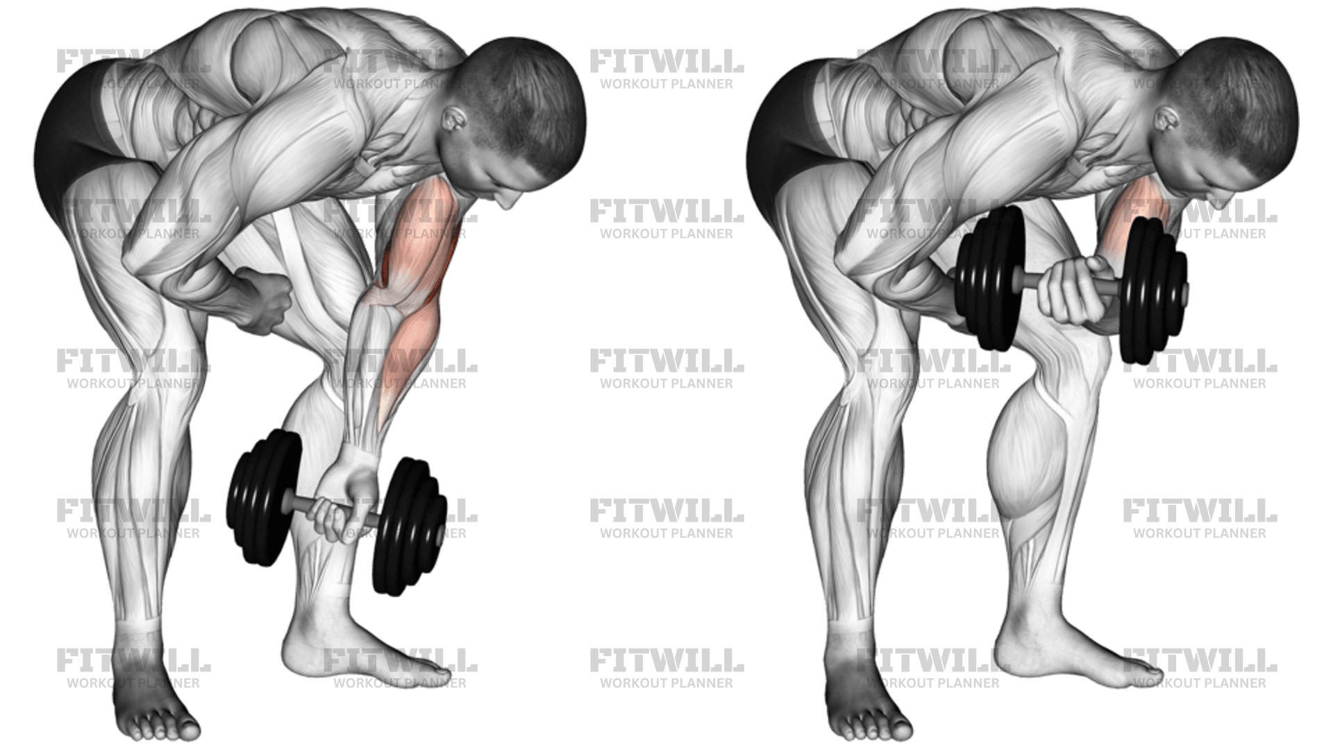 Dumbbell Standing One-Arm Concentration Curl: Exercise Guide, Video ...