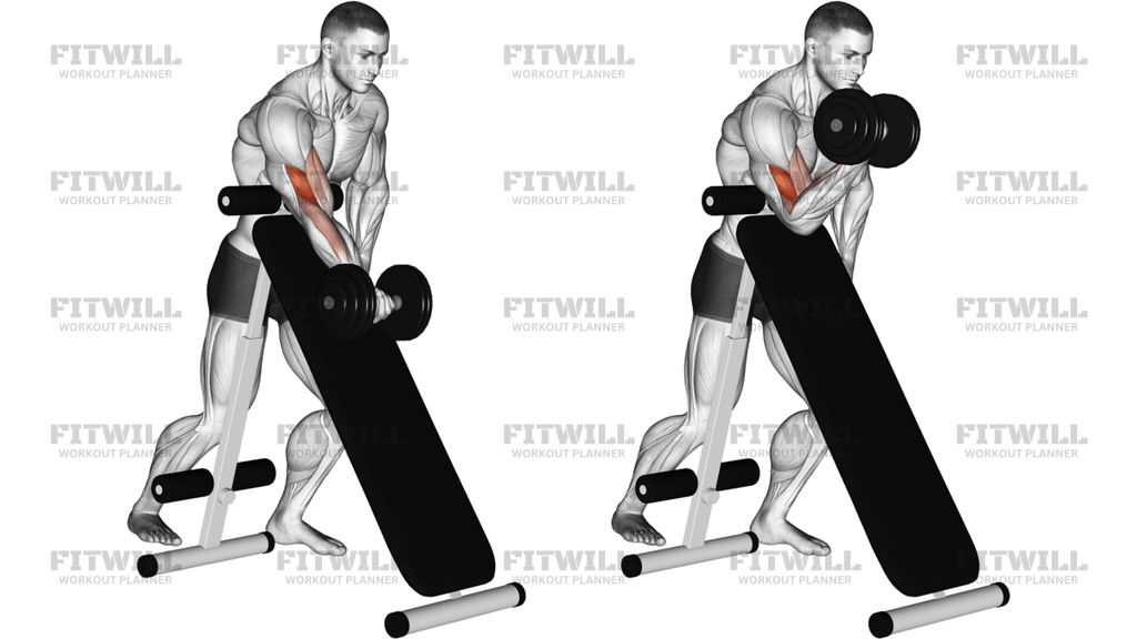 Dumbbell Standing One-Arm Curl Over Incline Bench