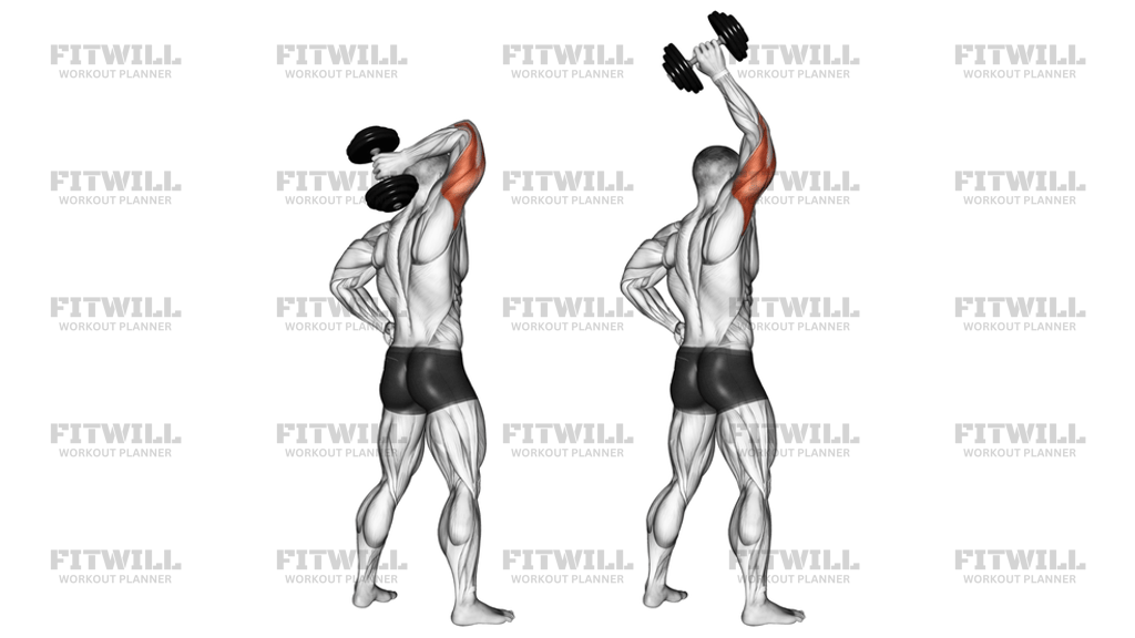 Dumbbell Standing One-Arm Extension