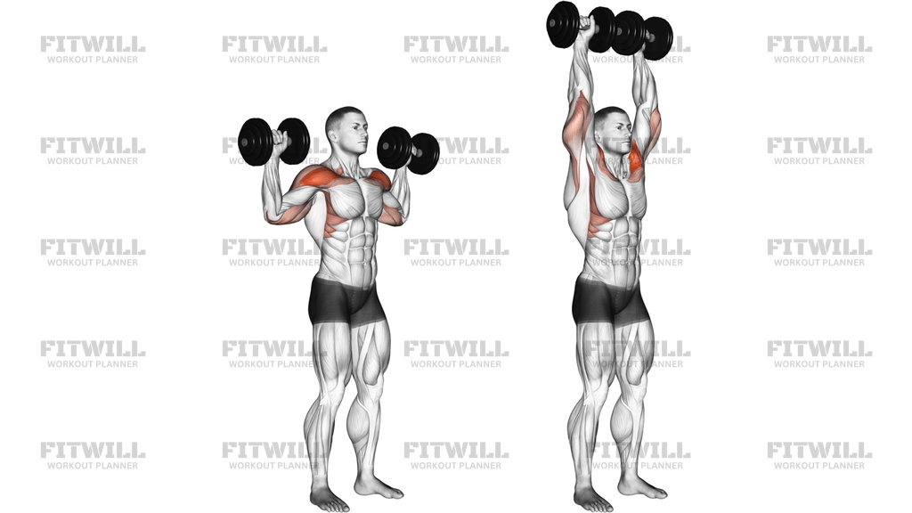Dumbbell Standing Overhead Press