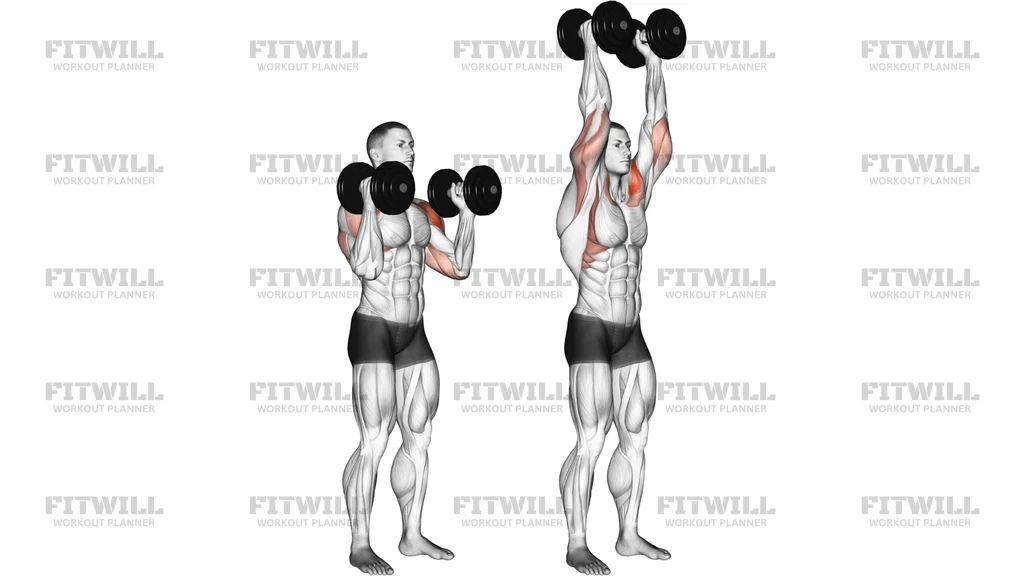 Dumbbell Standing Palms In Press
