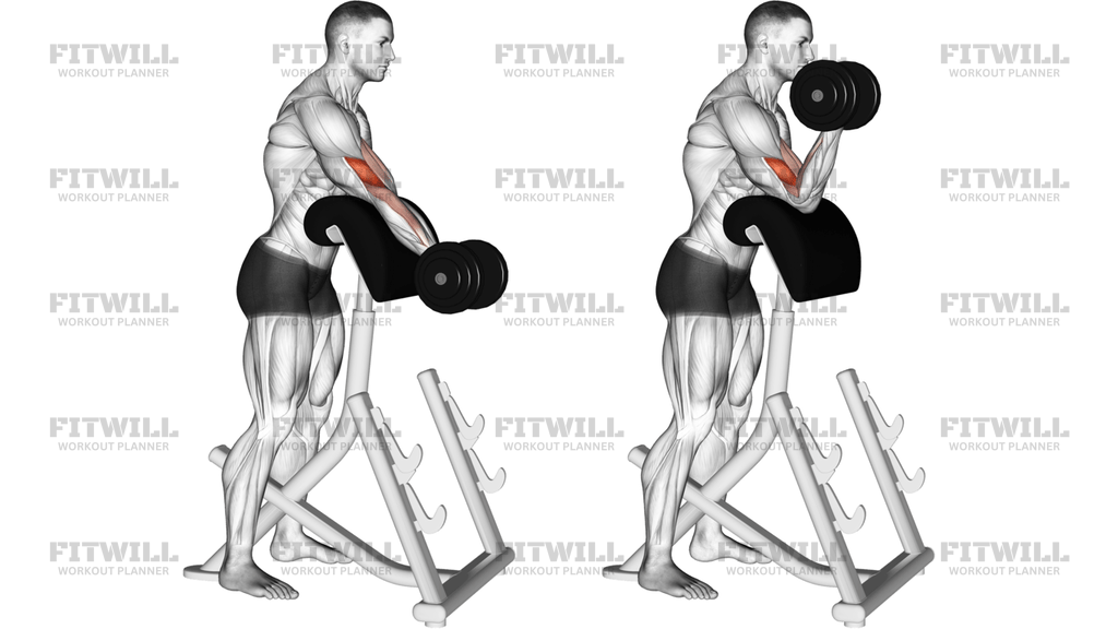 Dumbbell Standing Preacher Curl