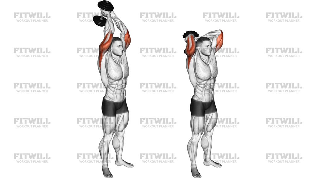 Dumbbell Standing Triceps Extension