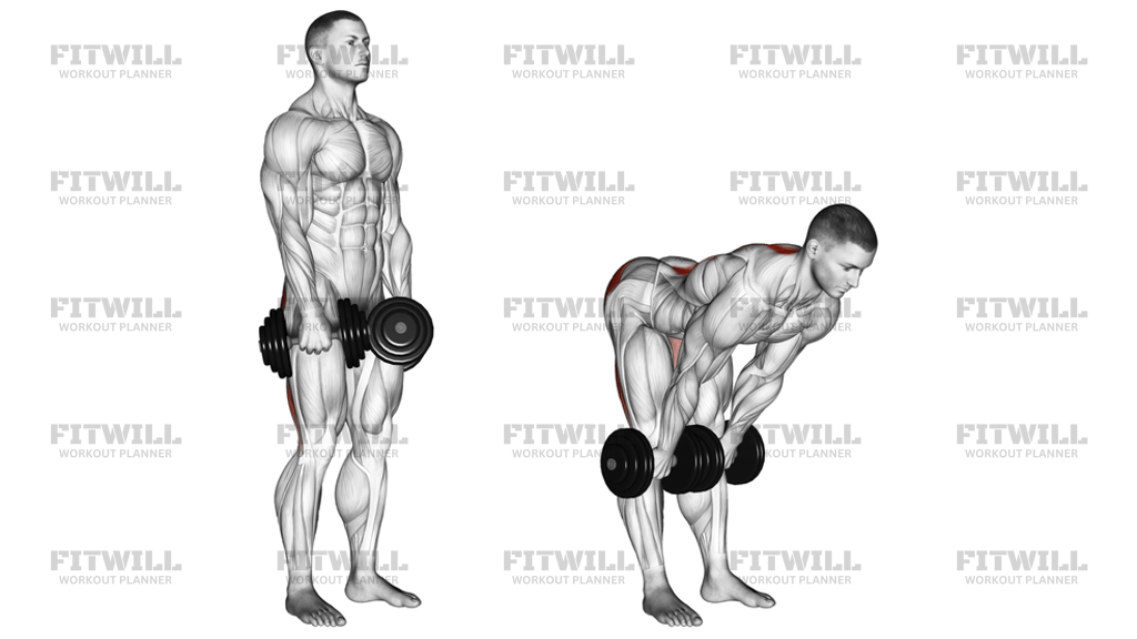 Dumbbell Stiff Leg Deadlift