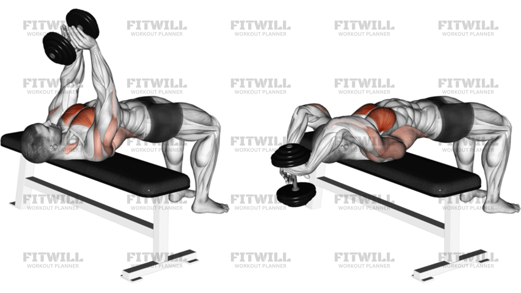 Dumbbell Straight Arm Pullover