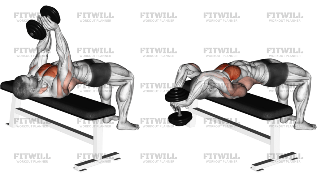 Dumbbell Straight Arm Pullover