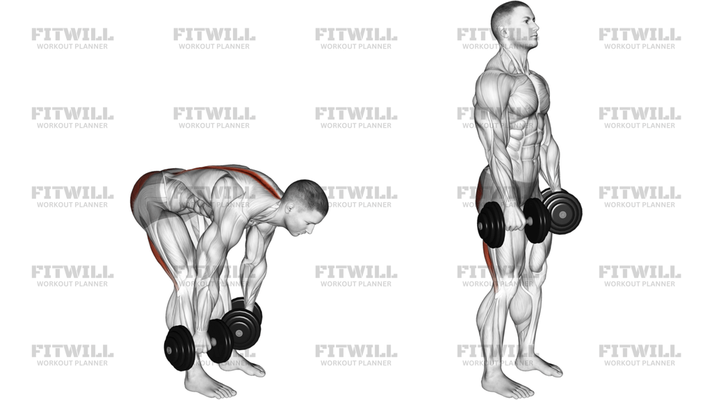 Dumbbell Straight Leg Deadlift