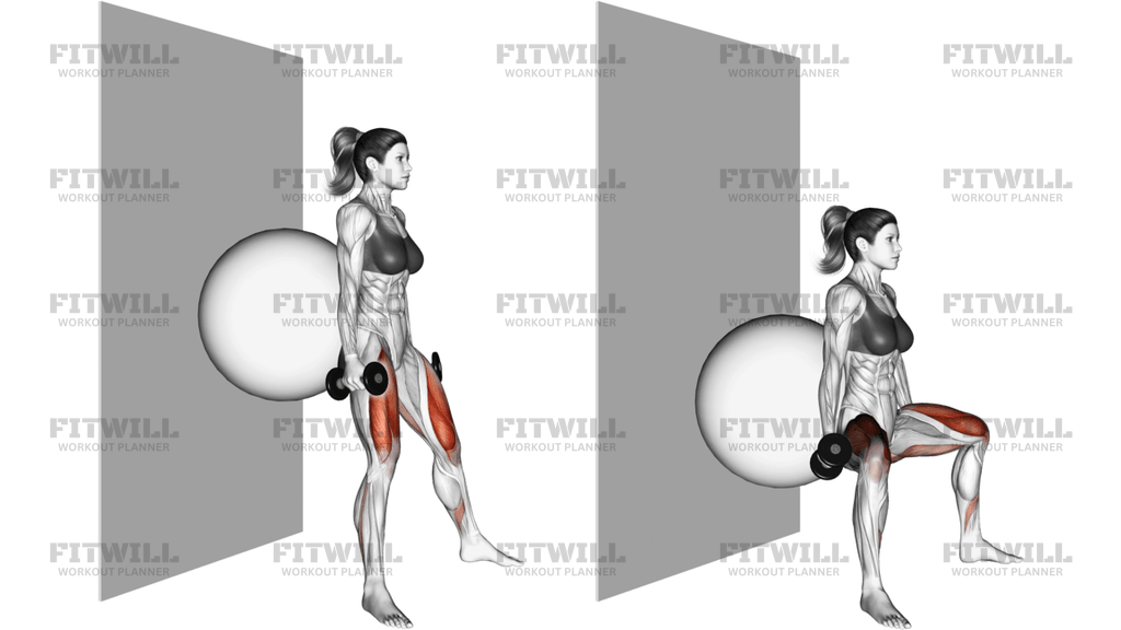 Dumbbell Sumo Squat Back On Stability Ball Wall