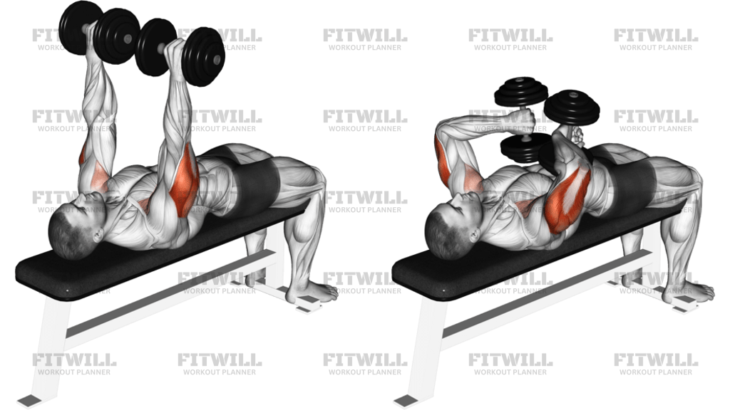 Dumbbell Tate Press