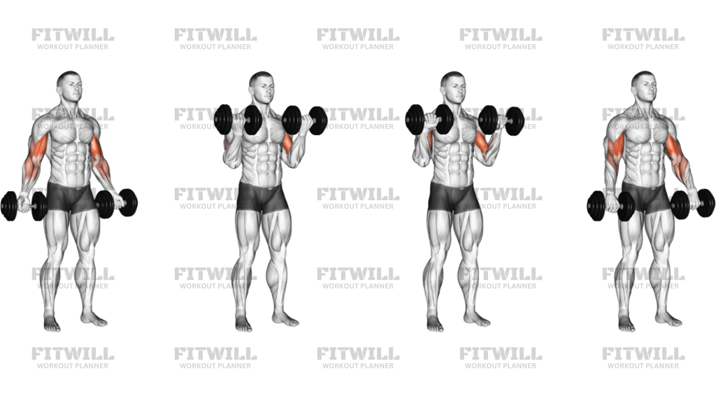 Dumbbell Zottman Curl