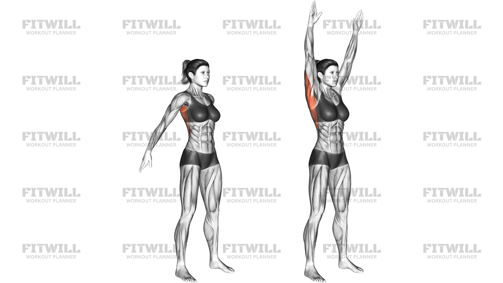 Dynamic Back Stretch