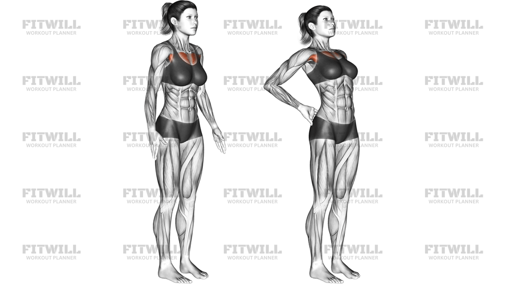 Elbows Back Stretch