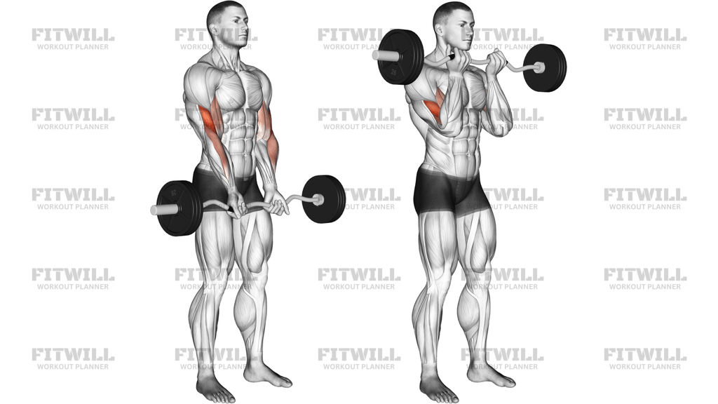 EZ-stang Close-Grip Curl