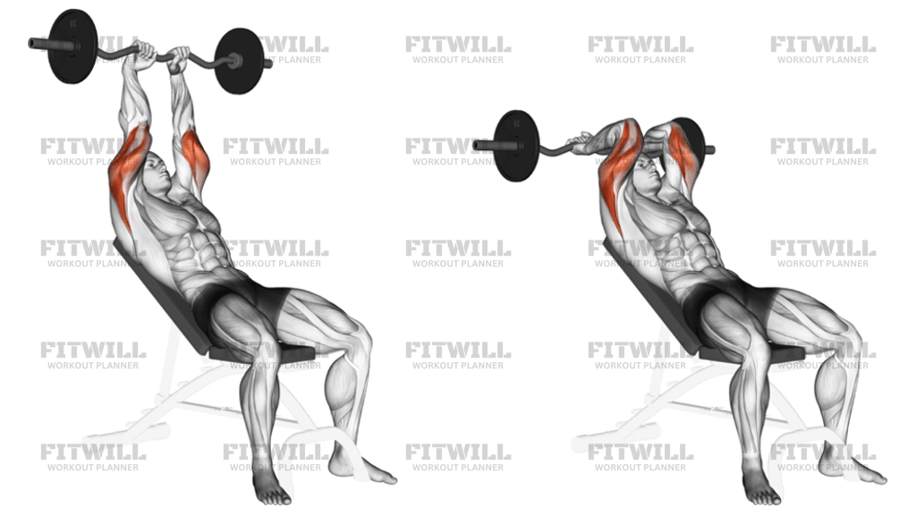 EZ-Barbell Incline Triceps Extension