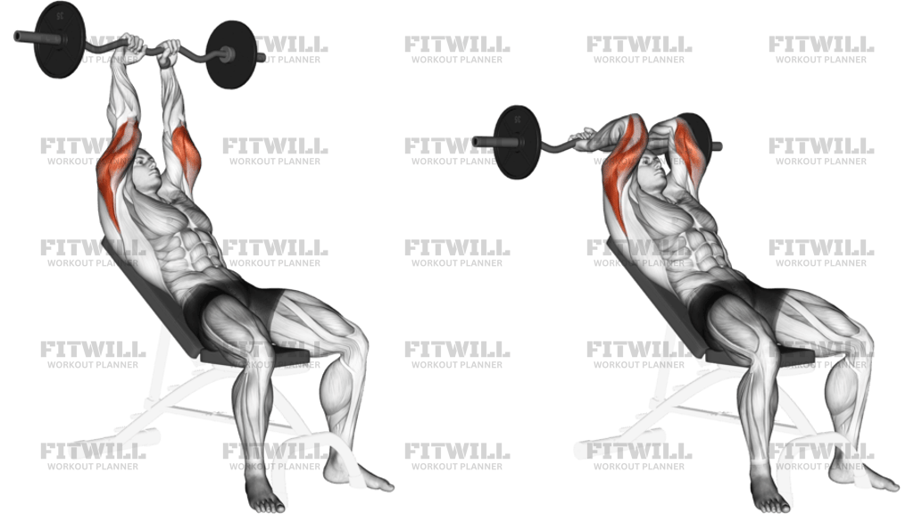 EZ-Barbell Incline Triceps Extension