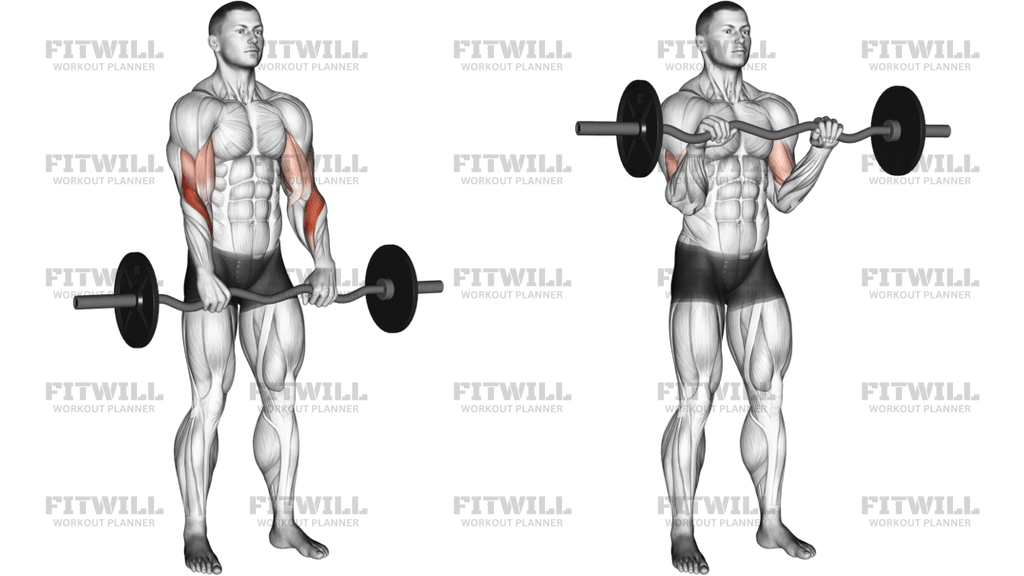 EZ Barbell Reverse-Grip Curl