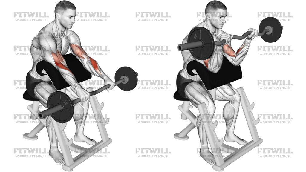 EZ-stang Reverse-Grip Preacher Curl