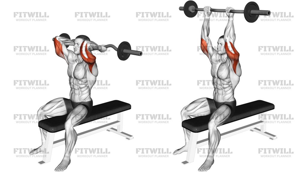 EZ Barbell Seated Triceps Extension