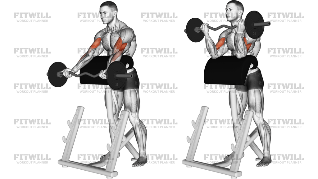 EZ Barbell Spider Curl