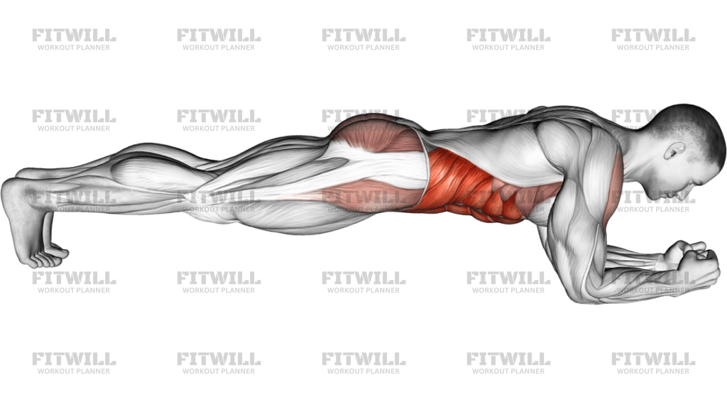 Front Plank