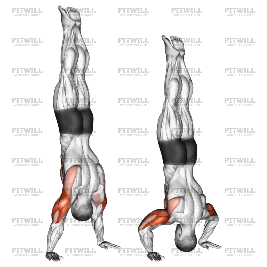 Handstand push up discount
