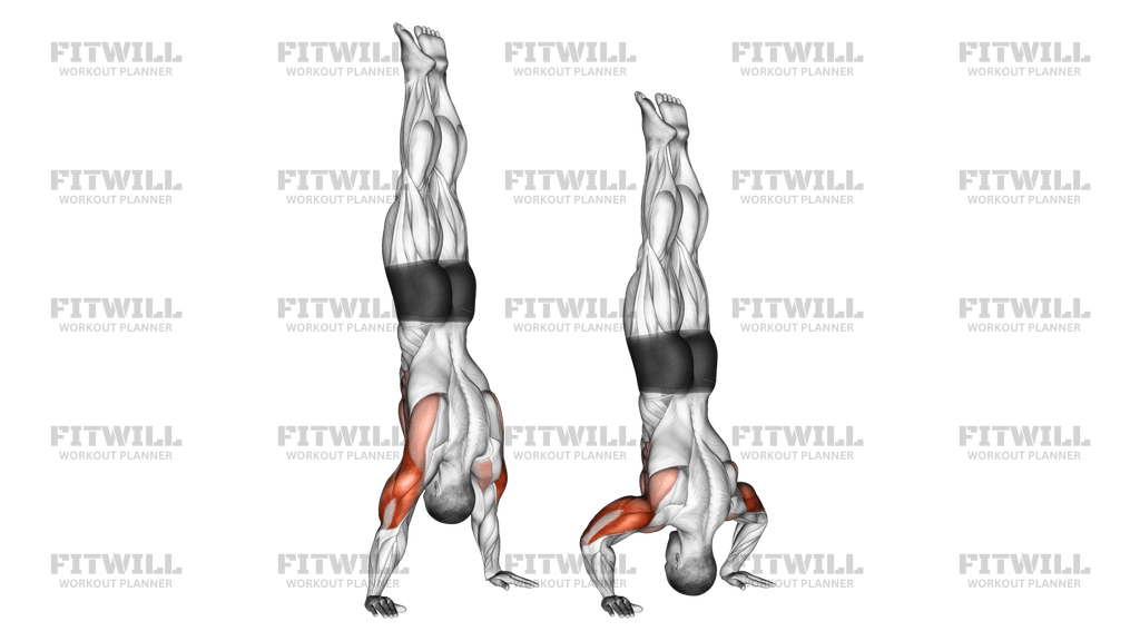 Core workout for handstand hotsell