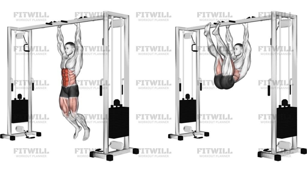 Hanging Straight Leg Hip Raise