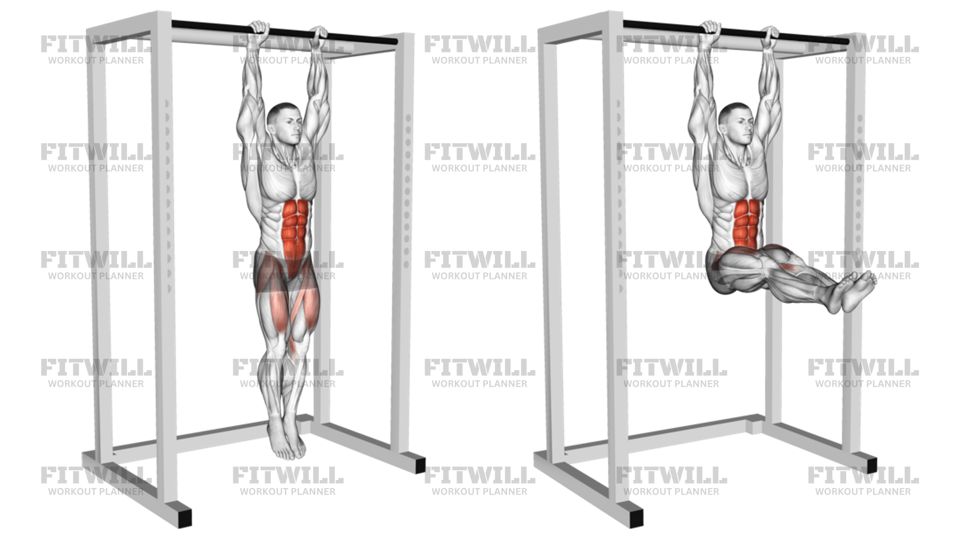 Hanging Straight Leg Raise Exercise Guide Video Techniques Benefits How to Muscles Worked Tips Tricks Fitwill