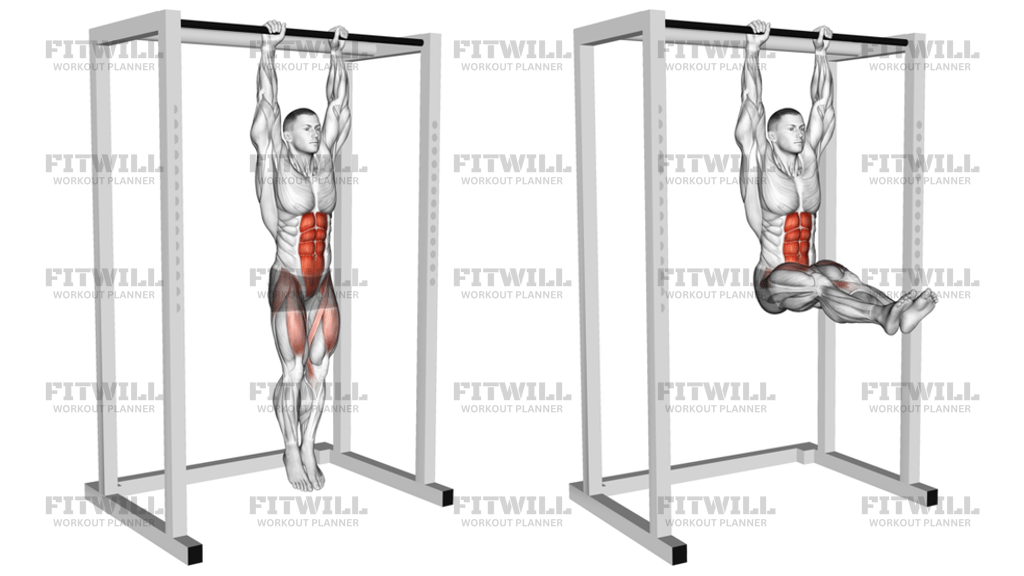 Hanging Straight Leg Raise