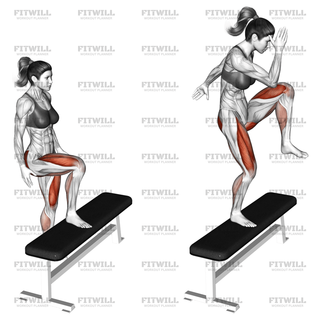 High Knee Step up Exercise Guide Techniques Benefits How to Muscles Worked Tips Tricks Fitwill