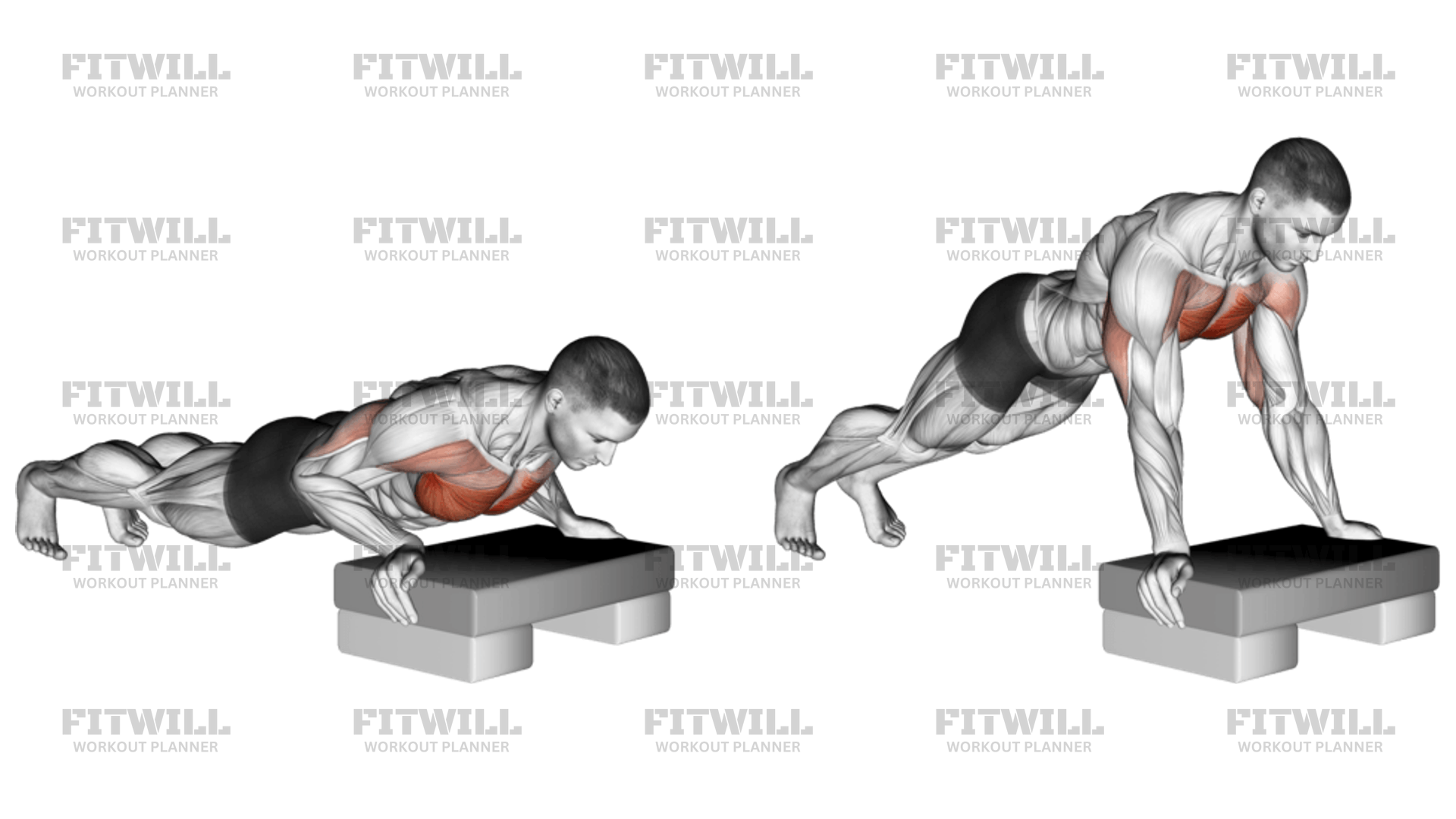 Incline Push up Exercise Guide Video Techniques Benefits How to Muscles Worked Tips Tricks Fitwill