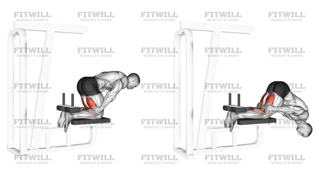 Inverse Leg Curl bench Support Exercise Guide Techniques Benefits How to Muscles Worked Tips Tricks Fitwill