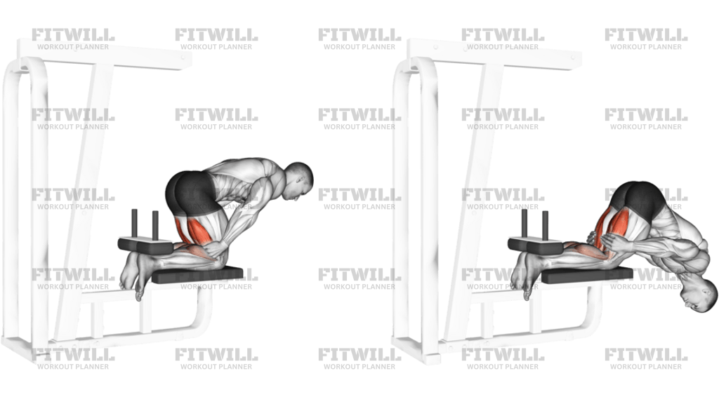 Inverse Leg Curl Bench Support