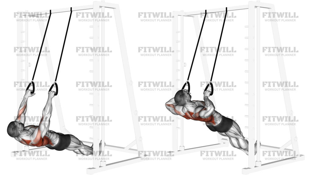 Inverted Row With Straps